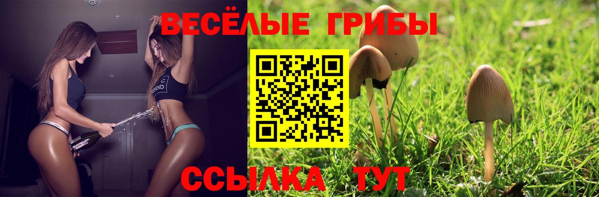 Шахты  Галлюциногенные грибы MAGIC MUSHROOMS  Вход с VPN  Галлюциногенные грибы мухоморы 